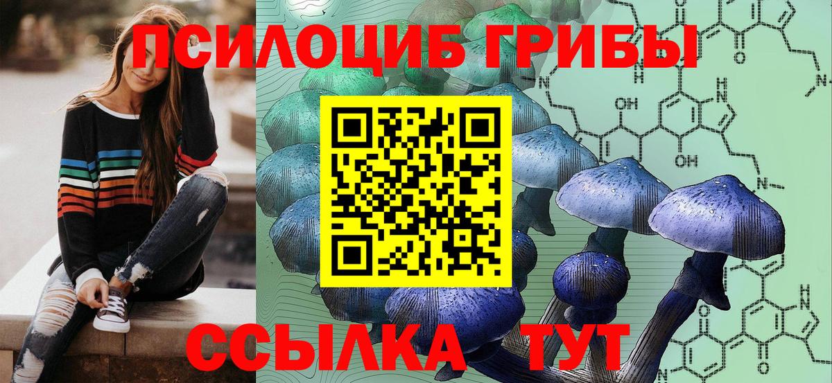 Псилоцибиновые грибы Psilocybine cubensis  Вход с VPN  Кинель 