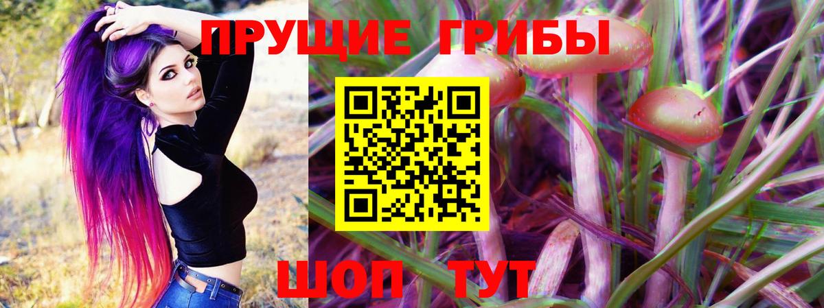 Псилоцибиновые грибы мухоморы Кинель